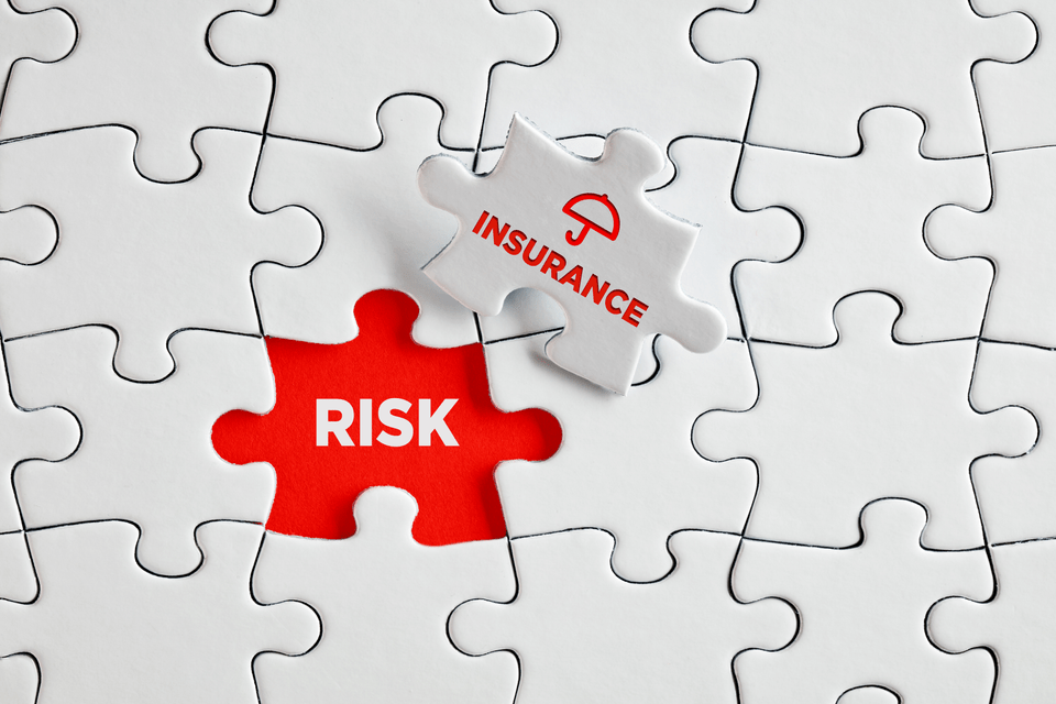 Insurance as a puzzle piece for risk
