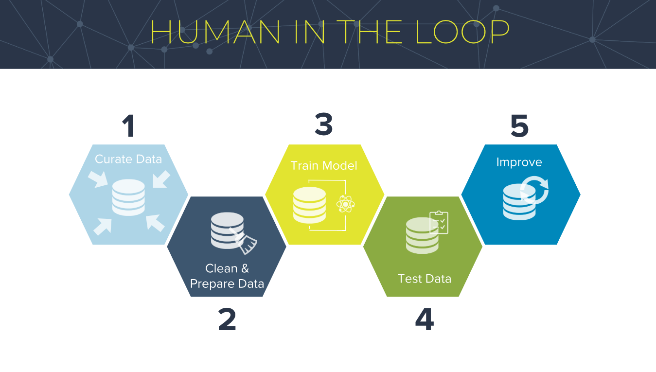 Human In The Loop