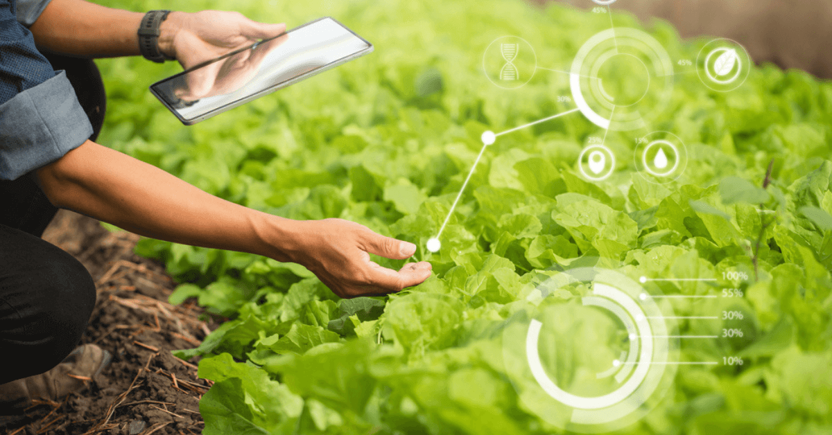AI-powered labeling: The key to better agtech machine learning models