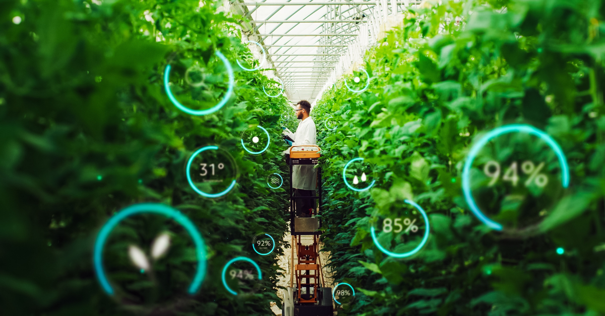 AI-powered labeling: the key to profitable AI development in agtech